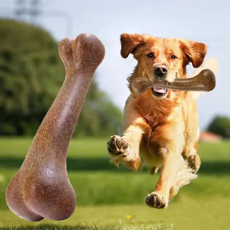 Os Ultra Résistant – Anti-Morsure & 100% Naturel 🦴💪
