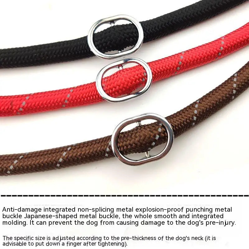 Adjustable Harness & Leash – Optimal Control & Comfort 🐶💪