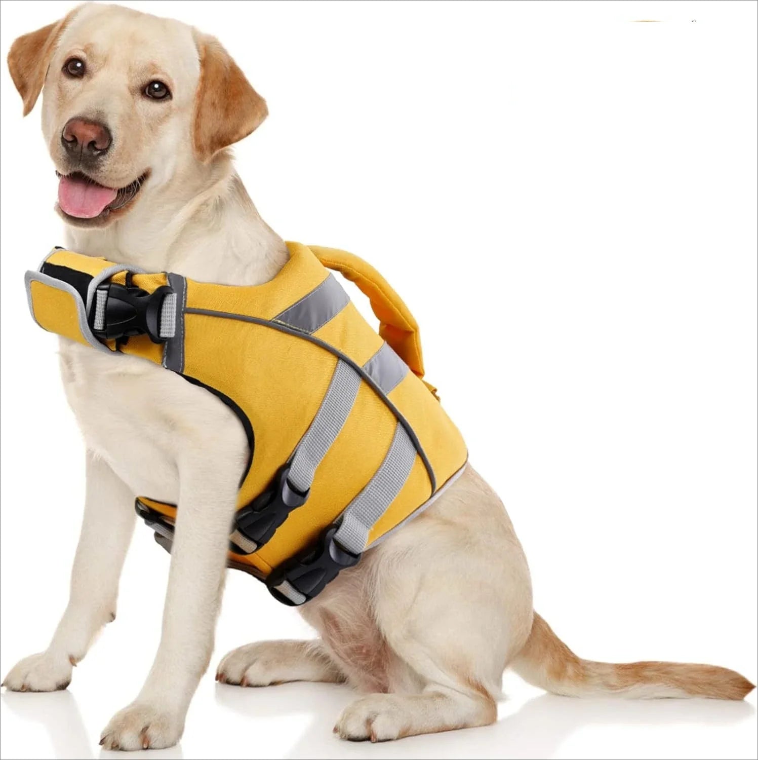 Dog Life Vest – Maximum Buoyancy & Safety 🐶🌊🦈💛