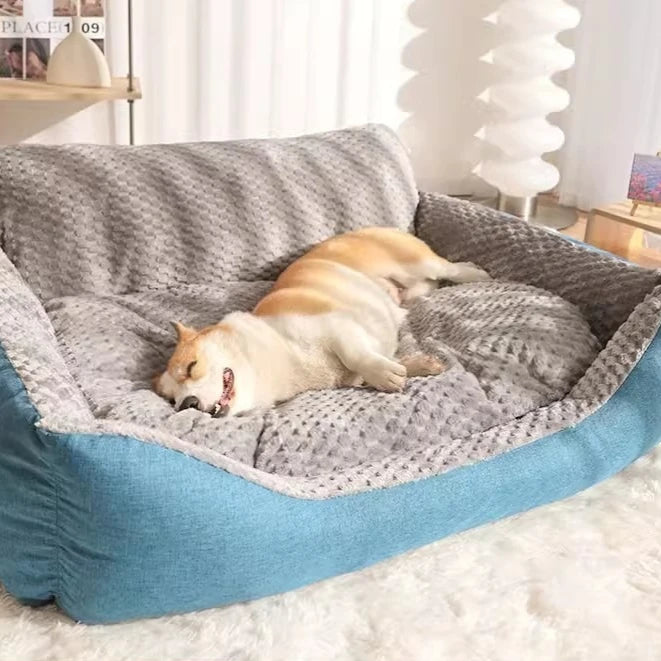 XXL Total Comfort Bed – Just Like a Real Bed 🛏️🐶
