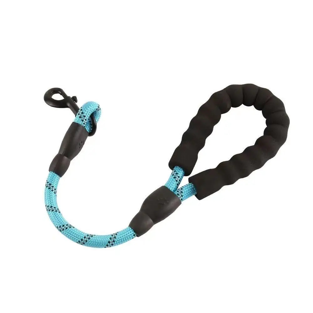 Reflective Bungee Leash – Comfort & Shock-Free Control 🐶💛
