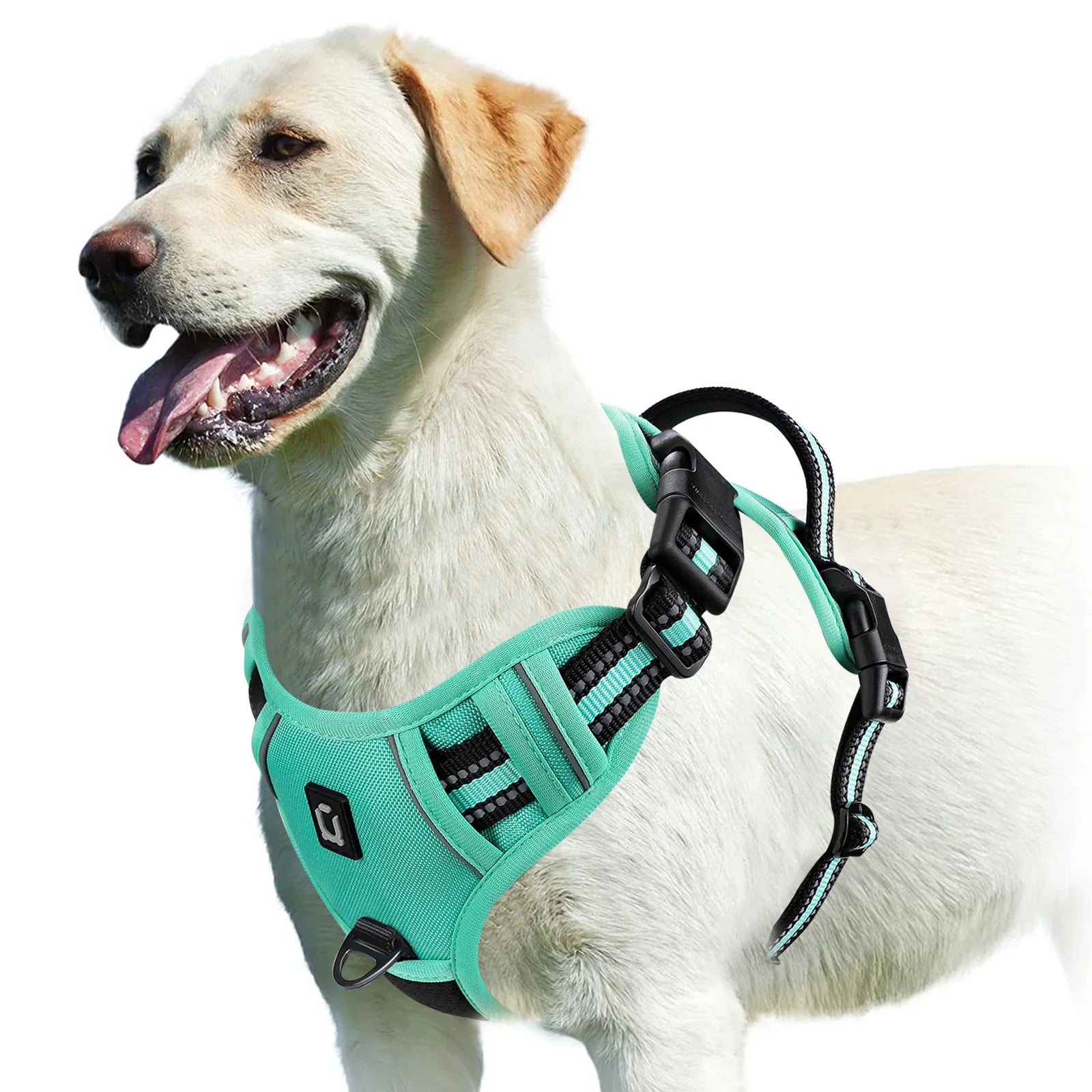 Padded No-Pull Harness – Optimal Control & Comfort 🐶💛