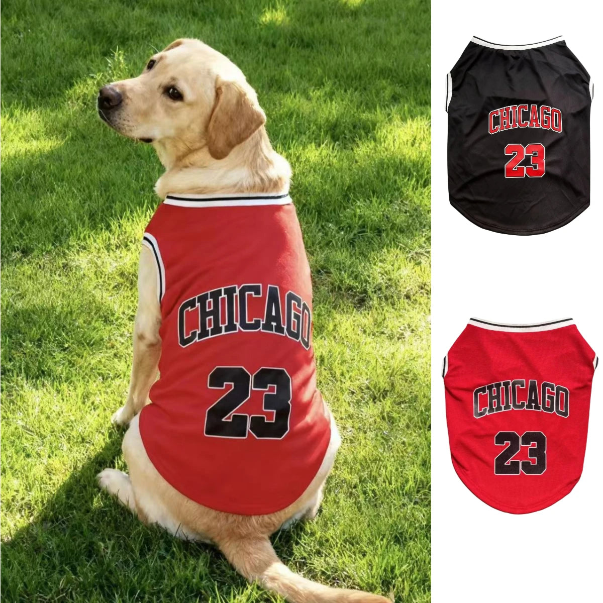 Chicago Basketball Jersey – Urban Style & Summer Freshness 🏀🐶