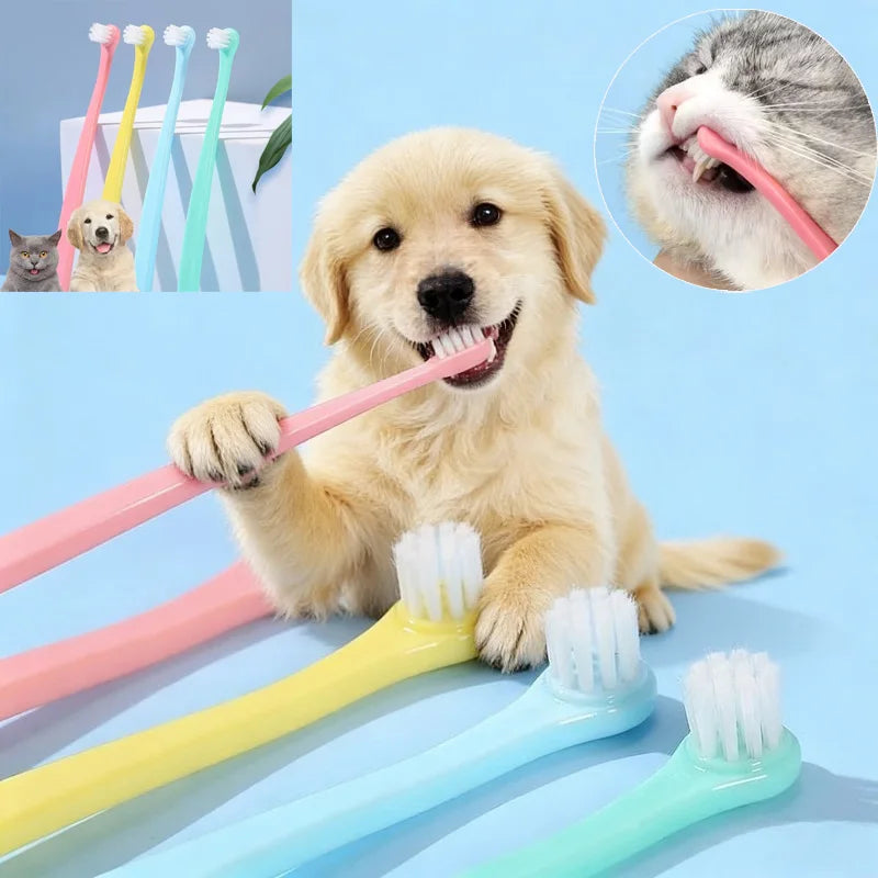 Brosse à Dents pour Chien & Chat – Hygiène Bucco-Dentaire & Haleine Fraîche 🦷🐾