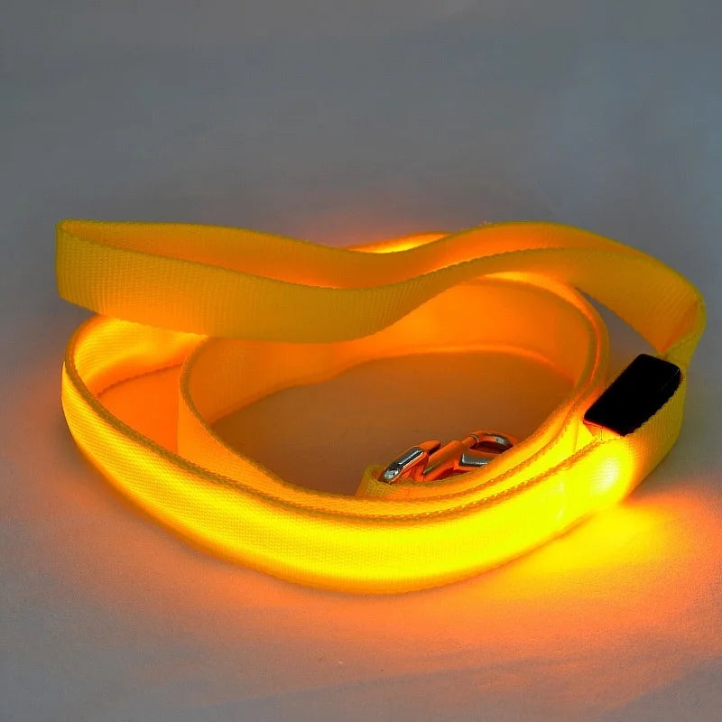 LED Luminous Leash – Night Visibility & Safety 🌙✨🐶