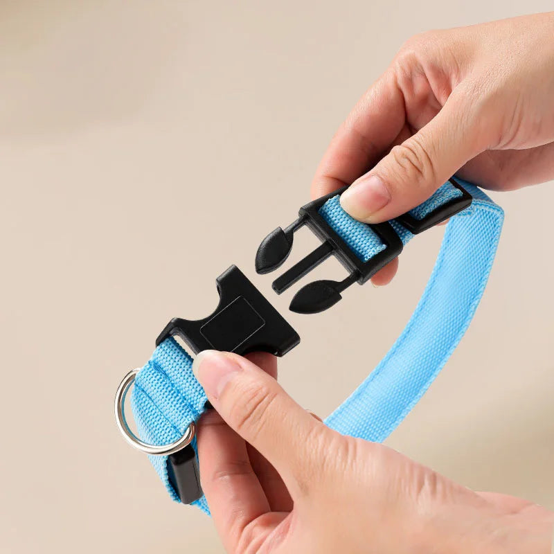USB Rechargeable LED Collar – Maximum Visibility & Night Safety