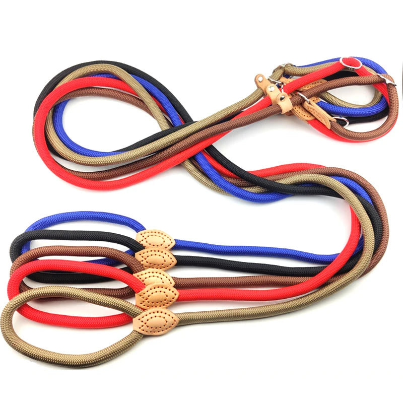 Adjustable Harness & Leash – Optimal Control & Comfort 🐶💪