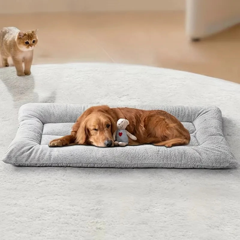 Coussin Douillet Confort+ – Lit Ultra Chaud & Apaisant pour Chien 🐶💛