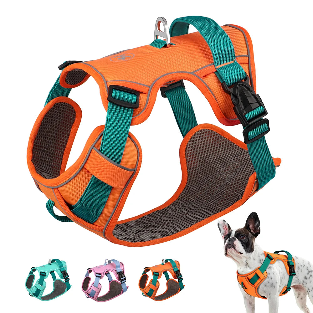 Breathable Anti-Pull Harness – Daily Safety & Comfort 🐶💛