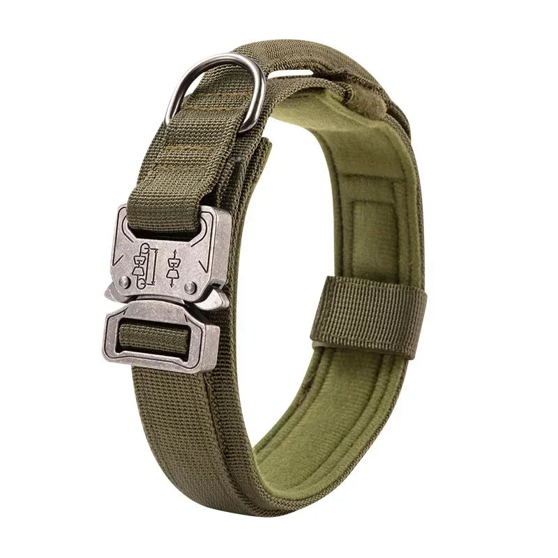 Tactical Sport Nylon Collar – Optimal Control & Resistance 🐕💪