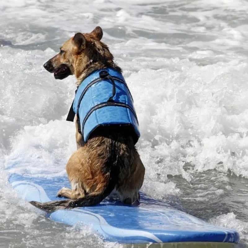 Safe Floatation Vest – Water Safety & Fun 🌊🐶