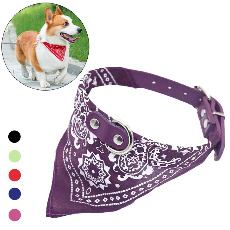 Collier Élégant avec Foulard pour Chiens & Chats