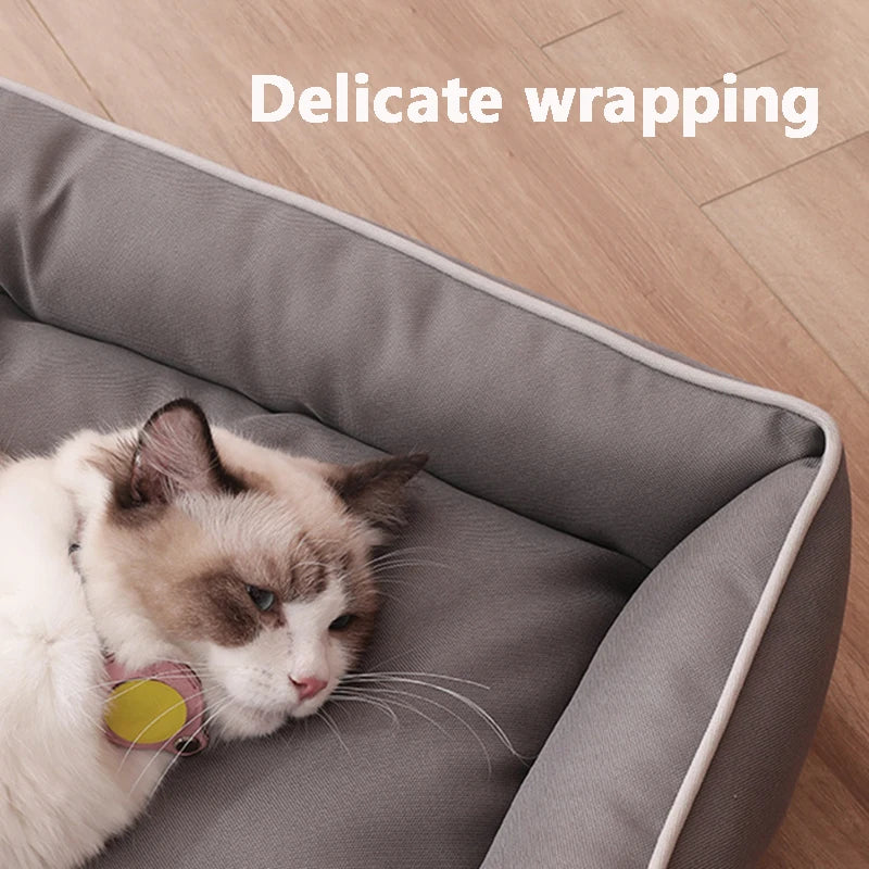 Resistant Sofa Bed – Ultimate Comfort & Protection 💪🛋️