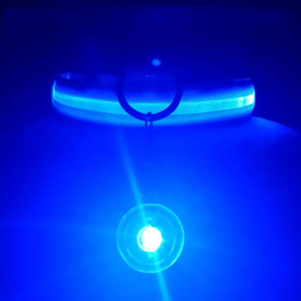 USB Rechargeable LED Light-Up Dog Collar – Night Safety