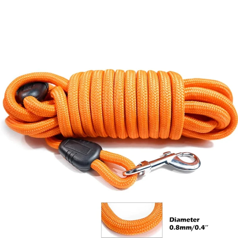 Training Leash – Gentle Control & Perfect Recall 🐶📏💛