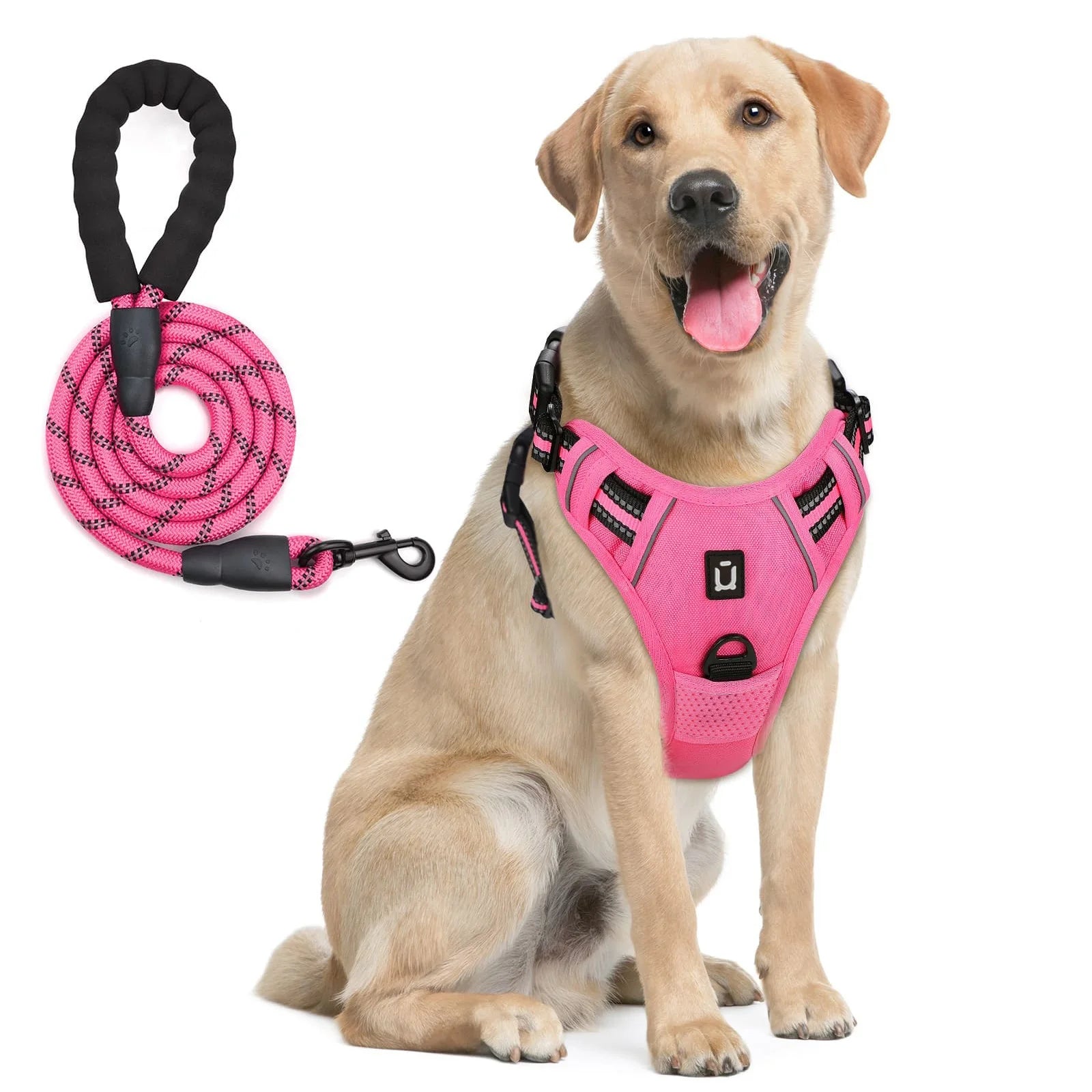 Anti-Pull Harness + 1.5 m Leash – Total Control & Comfort 🐶💛