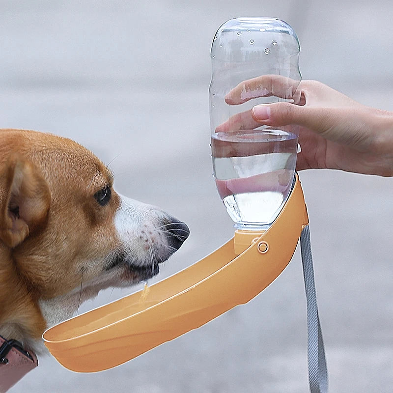 Portable Foldable Bottle – Easy Hydration Anywhere 🐶💧