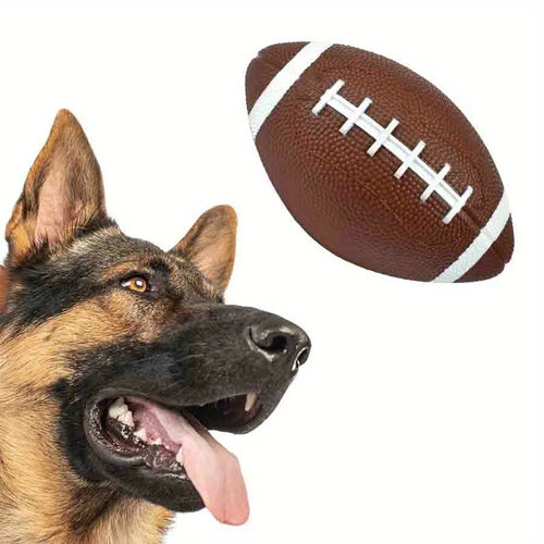 Floating Football - Extreme Play & Pure Energy 🏈🐶💛