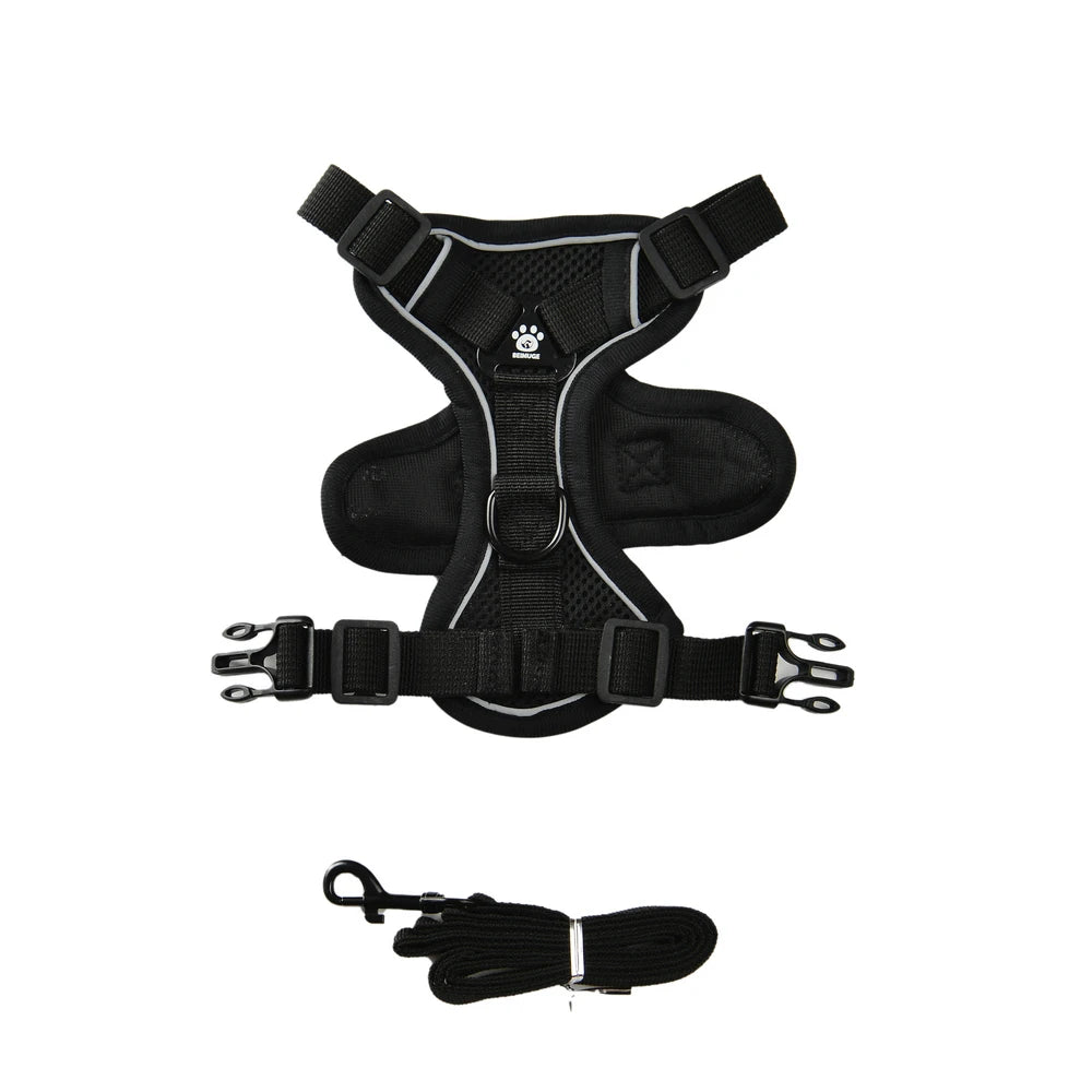Reflective Hiking Harness + Leash – Active Safety & Comfort 🐶💛