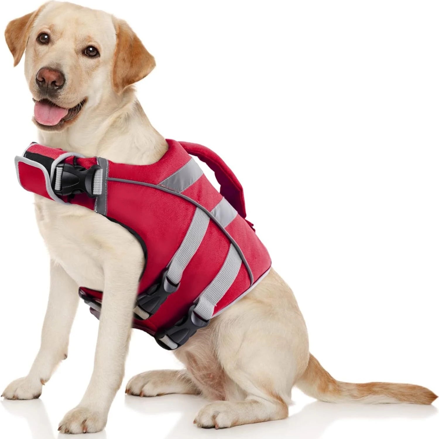 Dog Life Vest – Maximum Buoyancy & Safety 🐶🌊🦈💛