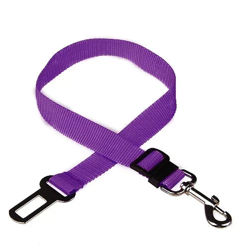 Car Safety Belt – Protection & Comfort in the Car 🚗🐶💛