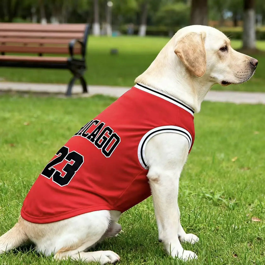 Jersey Basket Chicago – Style Urbain & Fraîcheur Été 🏀🐶
