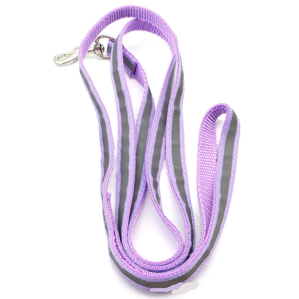 Reflective Leash – Safety & Simplicity for Everyday Use 🐶🌙💛
