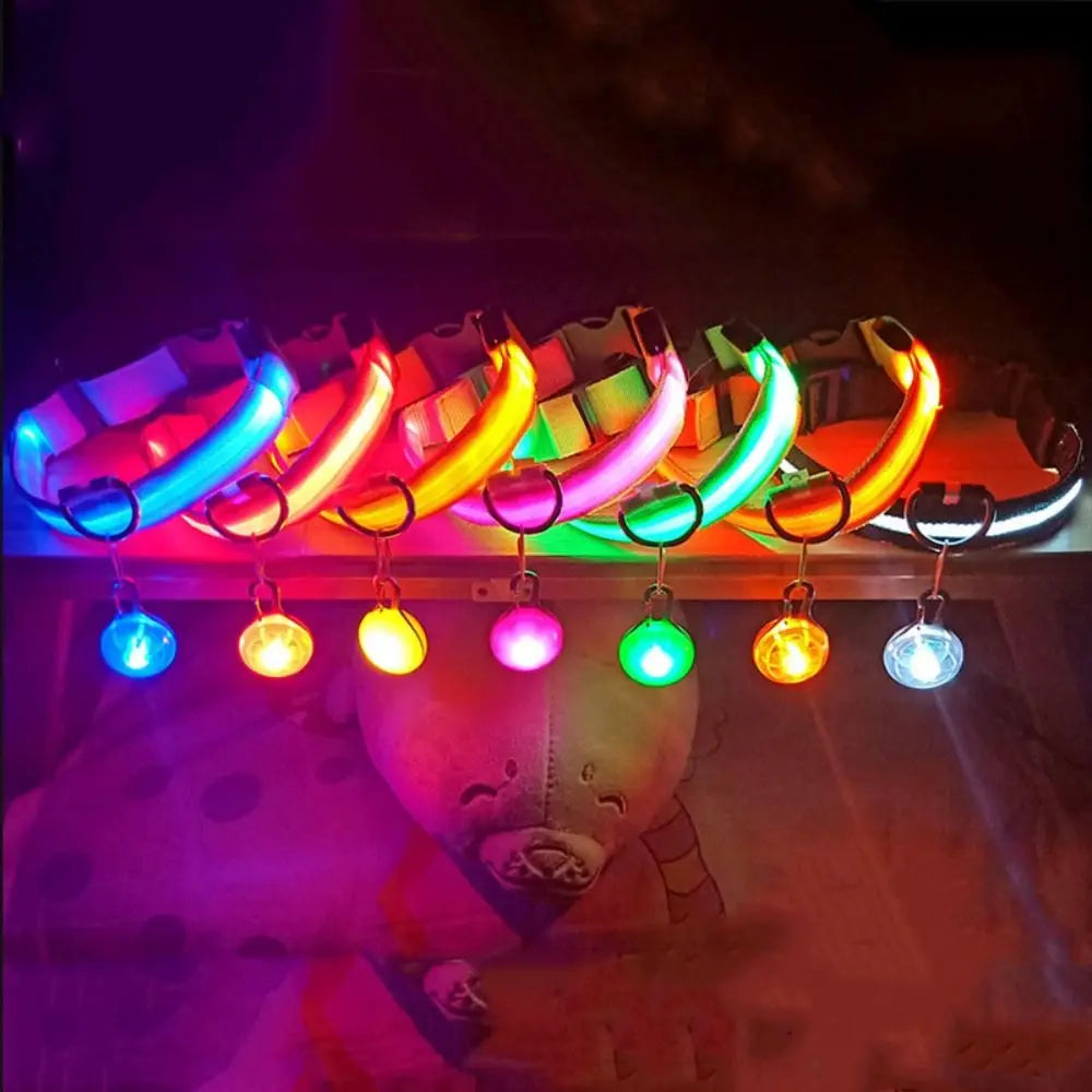 Collier Lumineux LED Rechargeable – Visibilité & Sécurité Nocturne 🌙✨