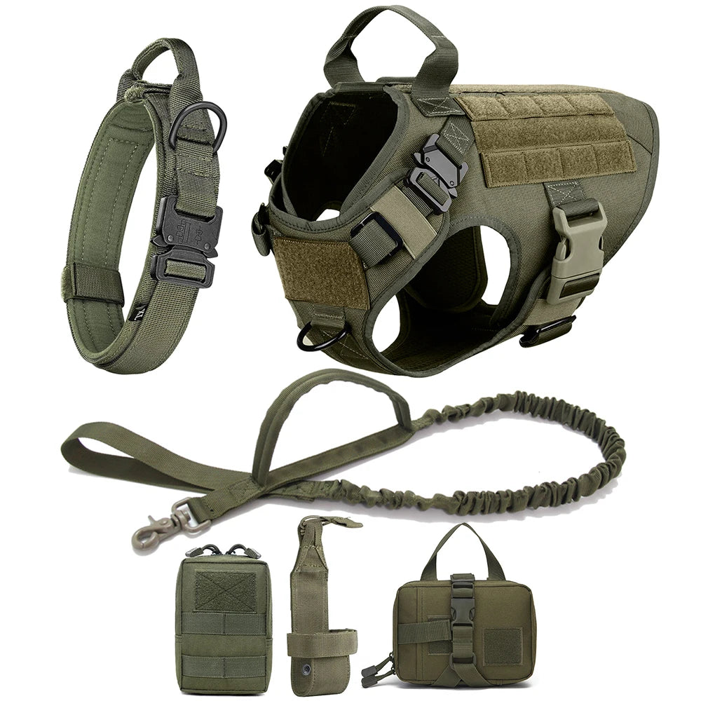 Pro Tactical Harness + Leash – Absolute Power & Control 🐶💛