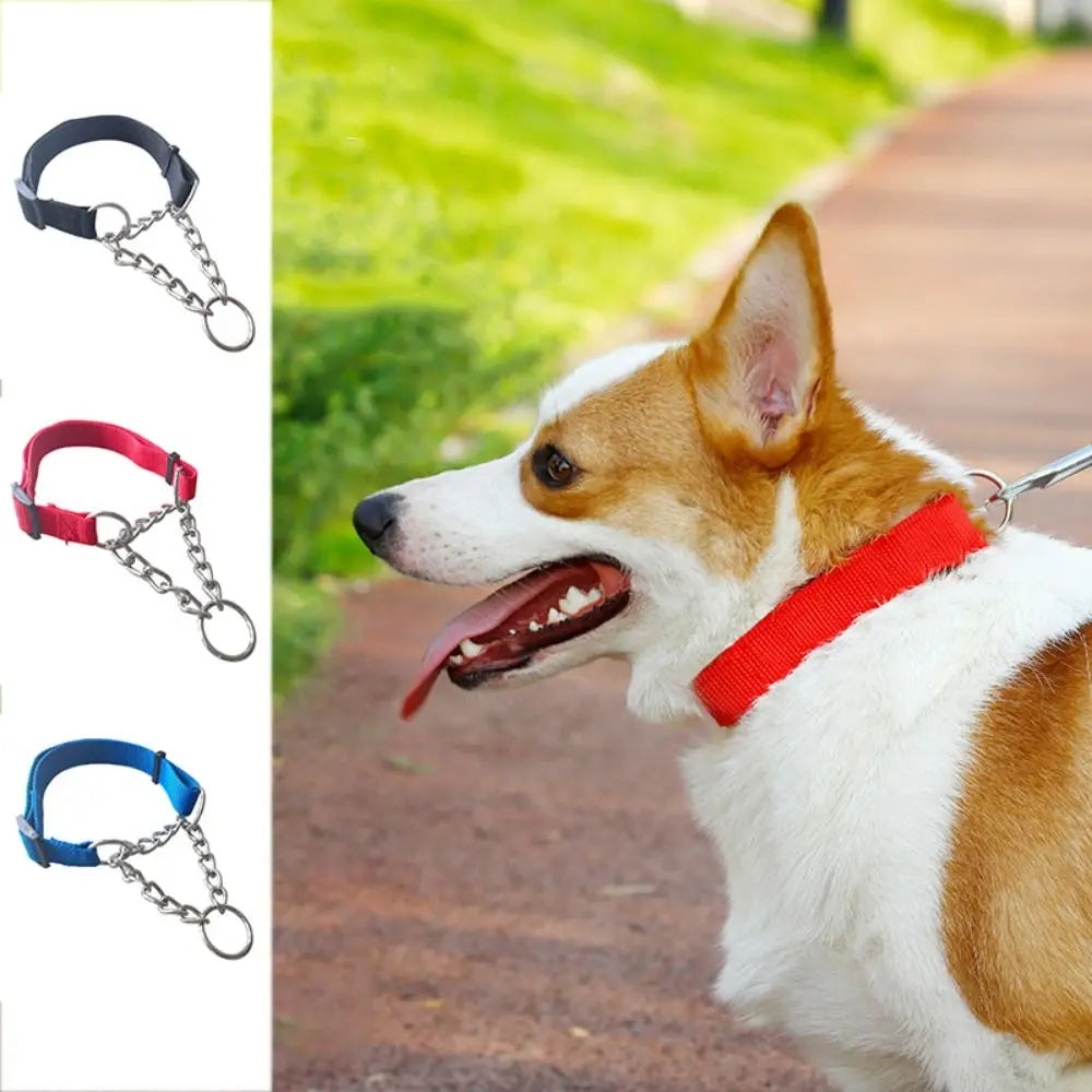 Collier Entraînement Renforcé – Contrôle & Sécurité Optimale 🐶💛
