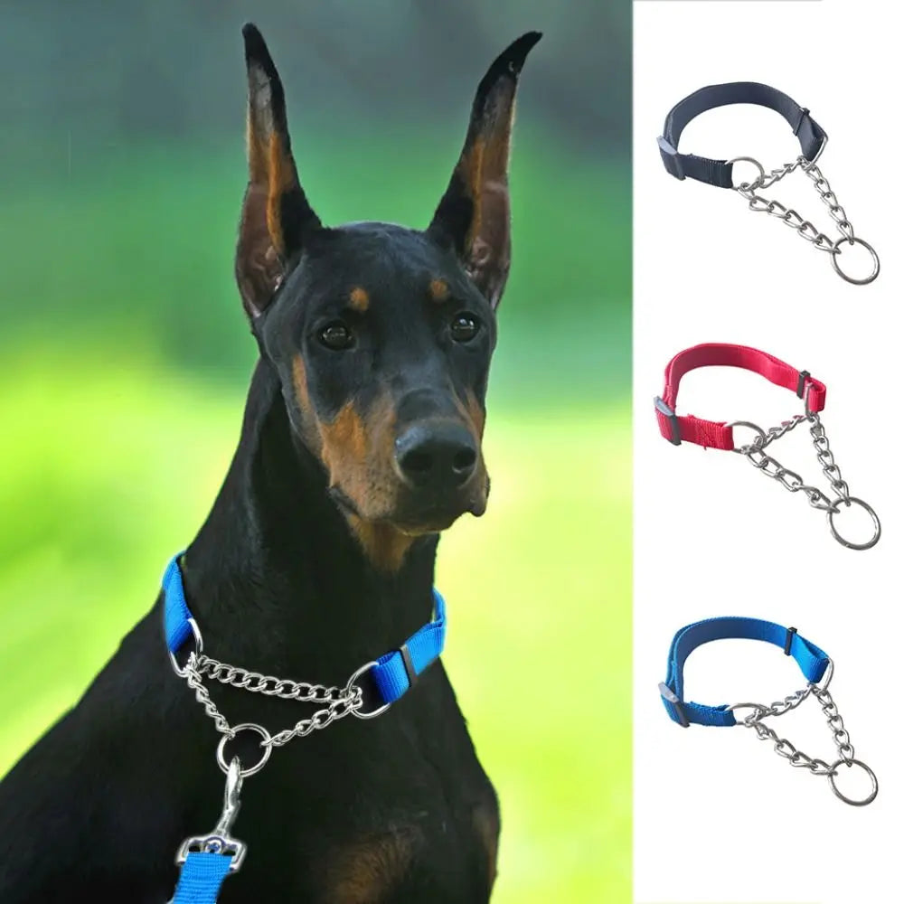 Reinforced Training Collar – Optimal Control & Safety 🐶💛