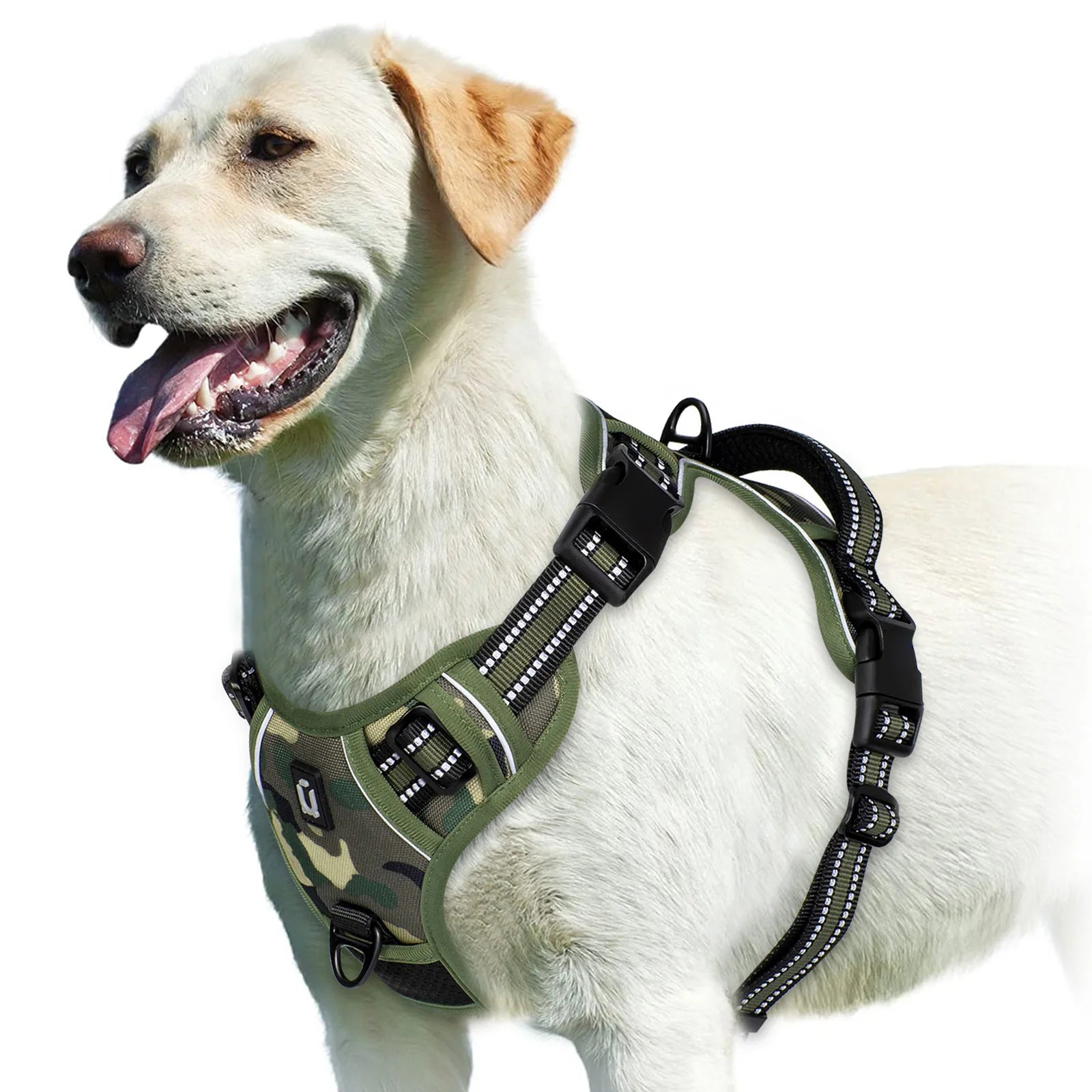 Padded No-Pull Harness – Optimal Control & Comfort 🐶💛