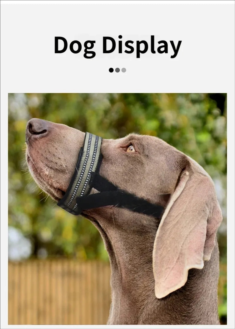 Tactical Muzzle – Ultimate Control & Military Style 🐕🦺🛑💛