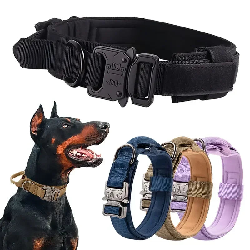 Tactical Sport Nylon Collar – Optimal Control & Resistance 🐕💪