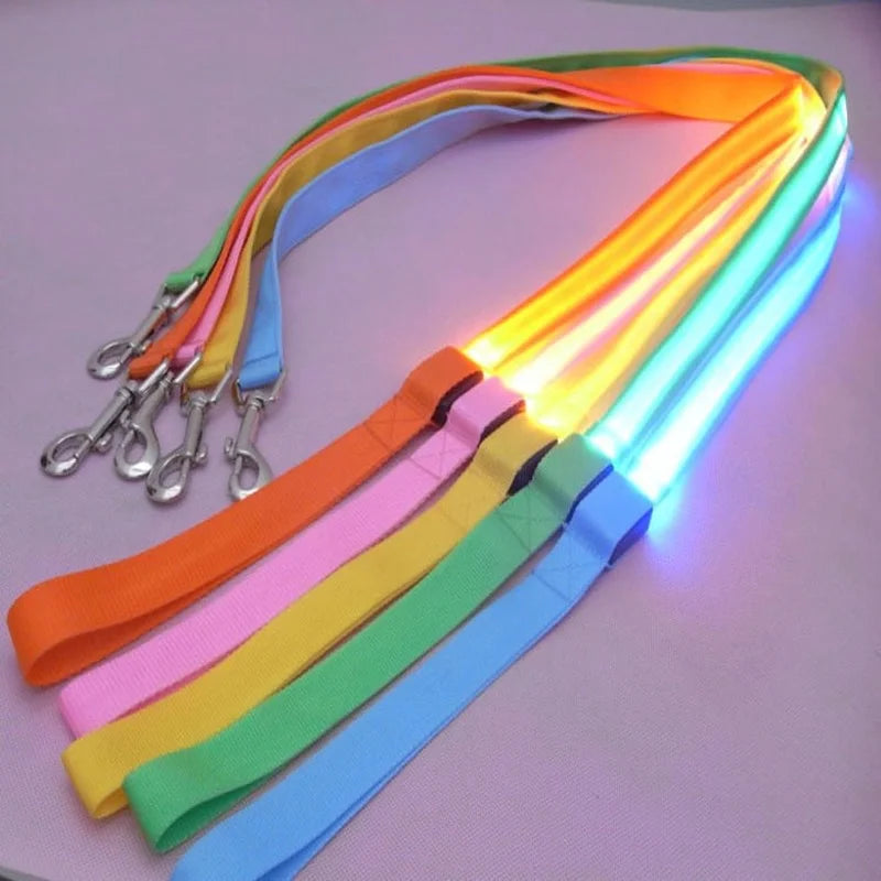 LED Luminous Leash – Night Visibility & Safety 🌙✨🐶