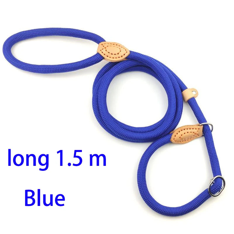 Adjustable Harness & Leash – Optimal Control & Comfort 🐶💪