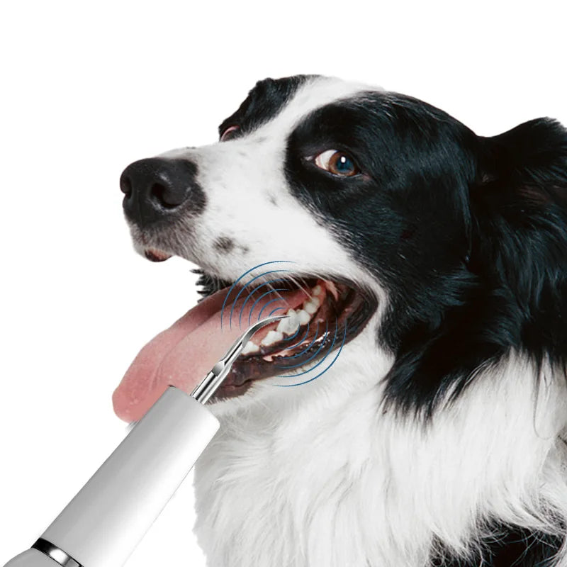 Ultrasonic Tartar Remover – Clean Teeth & Fresh Breath 🐶🦷✨