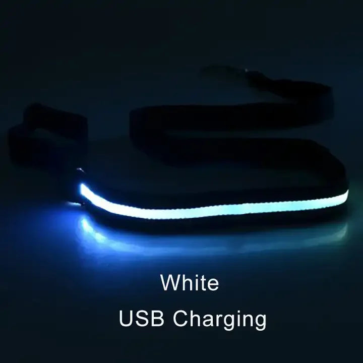 LED Luminous Leash – Night Visibility & Safety 🌙✨🐶