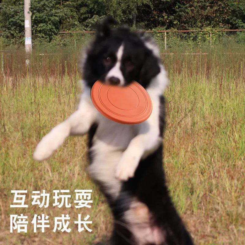 Frisbee Interactif Flex – Jeu, Exercice & Complicité 🐶💛