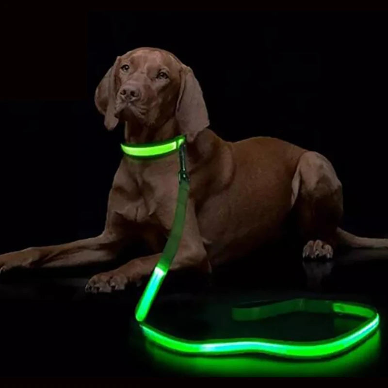 LED Luminous Leash – Night Visibility & Safety 🌙✨🐶