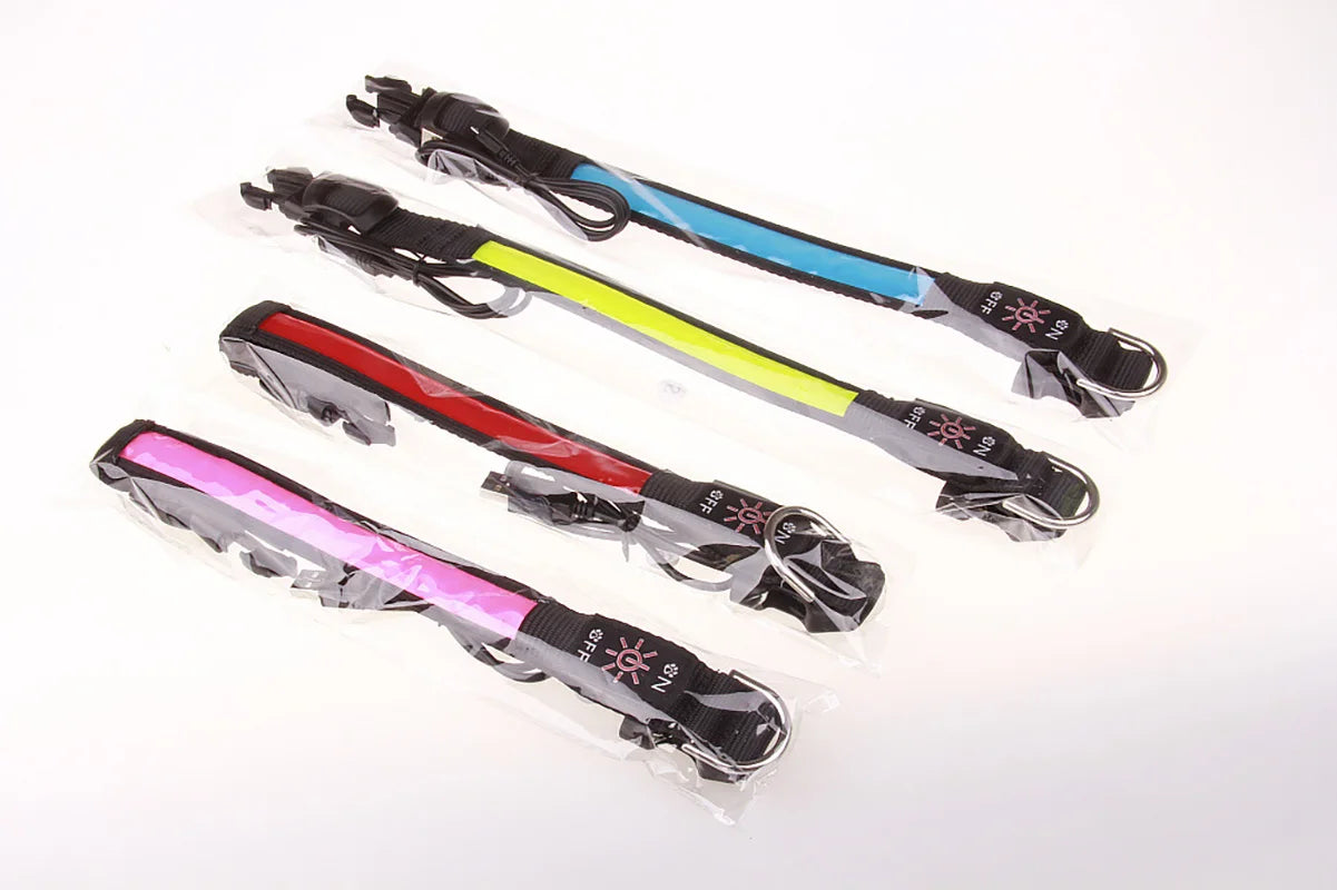 Collier LED Rechargeable – Visibilité 500m & Sécurité Nocturne 🌙🐶💛