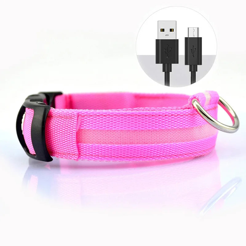 USB Rechargeable LED Collar – Maximum Visibility & Night Safety