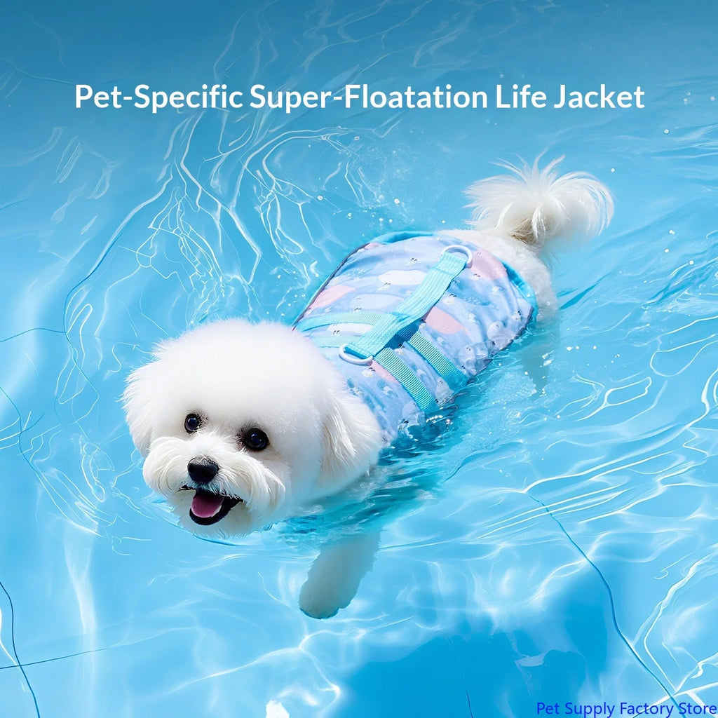 Gilet de Sauvetage pour Petit & Moyen Chien – Flottabilité & Sécurité Optimale 🐶🌊💛
