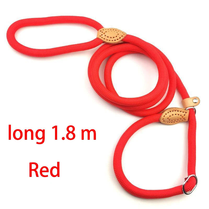 Adjustable Harness & Leash – Optimal Control & Comfort 🐶💪
