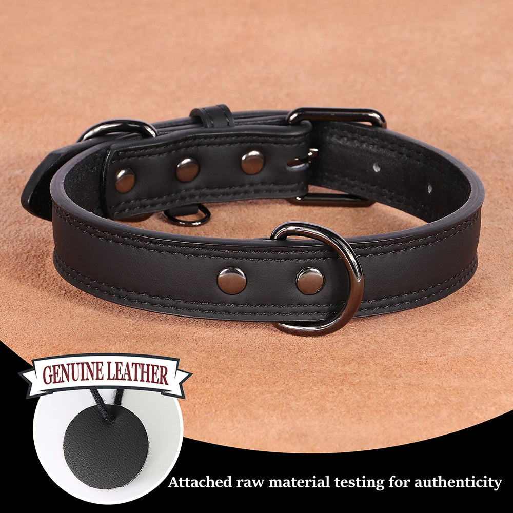 Leather Dog Collar – Premium Elegance & Comfort 🖤🐶