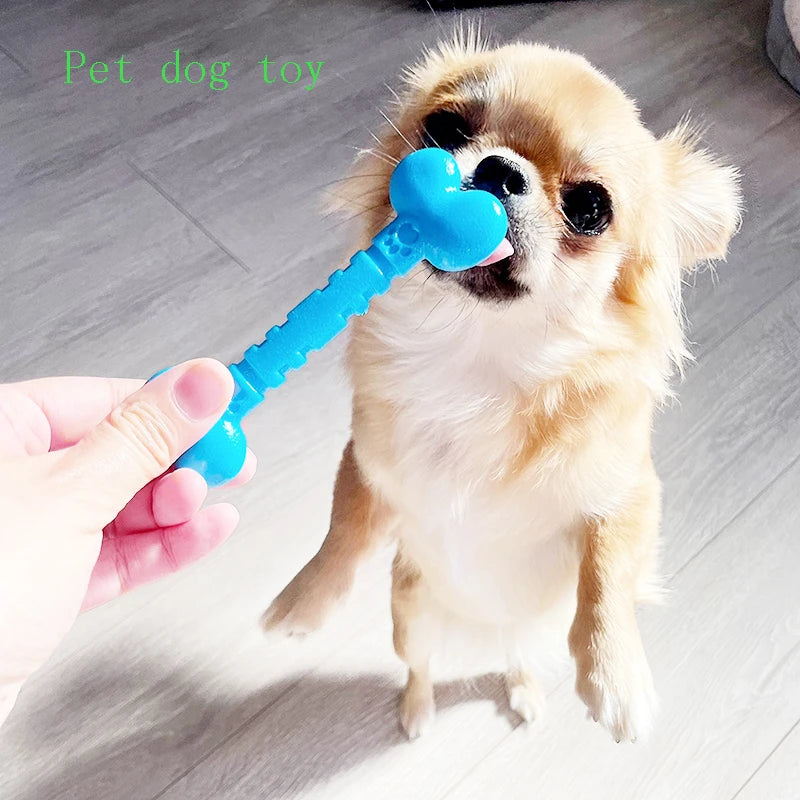 Duo Jouets Dentaires – Os & Anneau Anti-Ennui 🦴🔵🐶💛