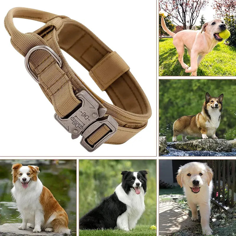 Tactical Sport Nylon Collar – Optimal Control & Resistance 🐕💪