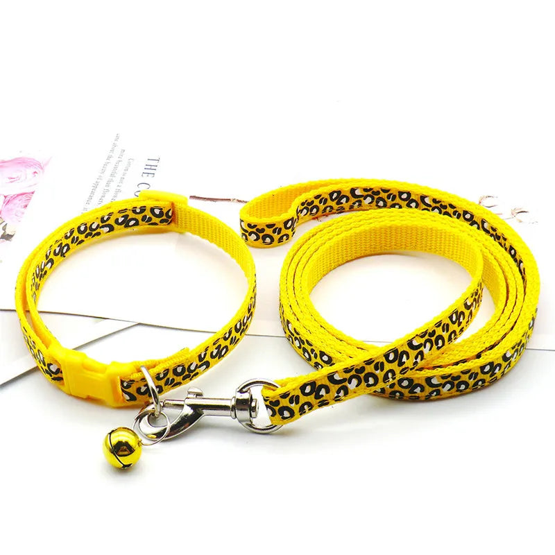 Leash & Collar Set – Everyday Style & Safety 🐶🎀💛