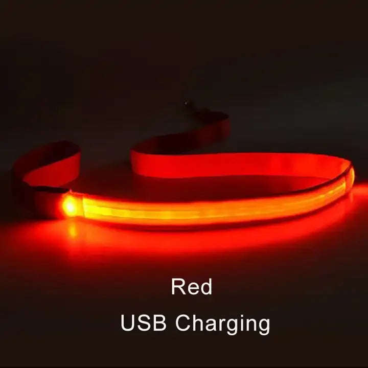 LED Luminous Leash – Night Visibility & Safety 🌙✨🐶