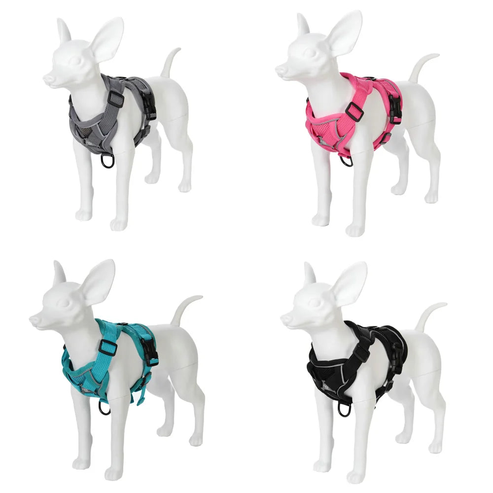 Harnais Réfléchissant Randonnée + Laisse – Sécurité & Confort Actif 🐶💛